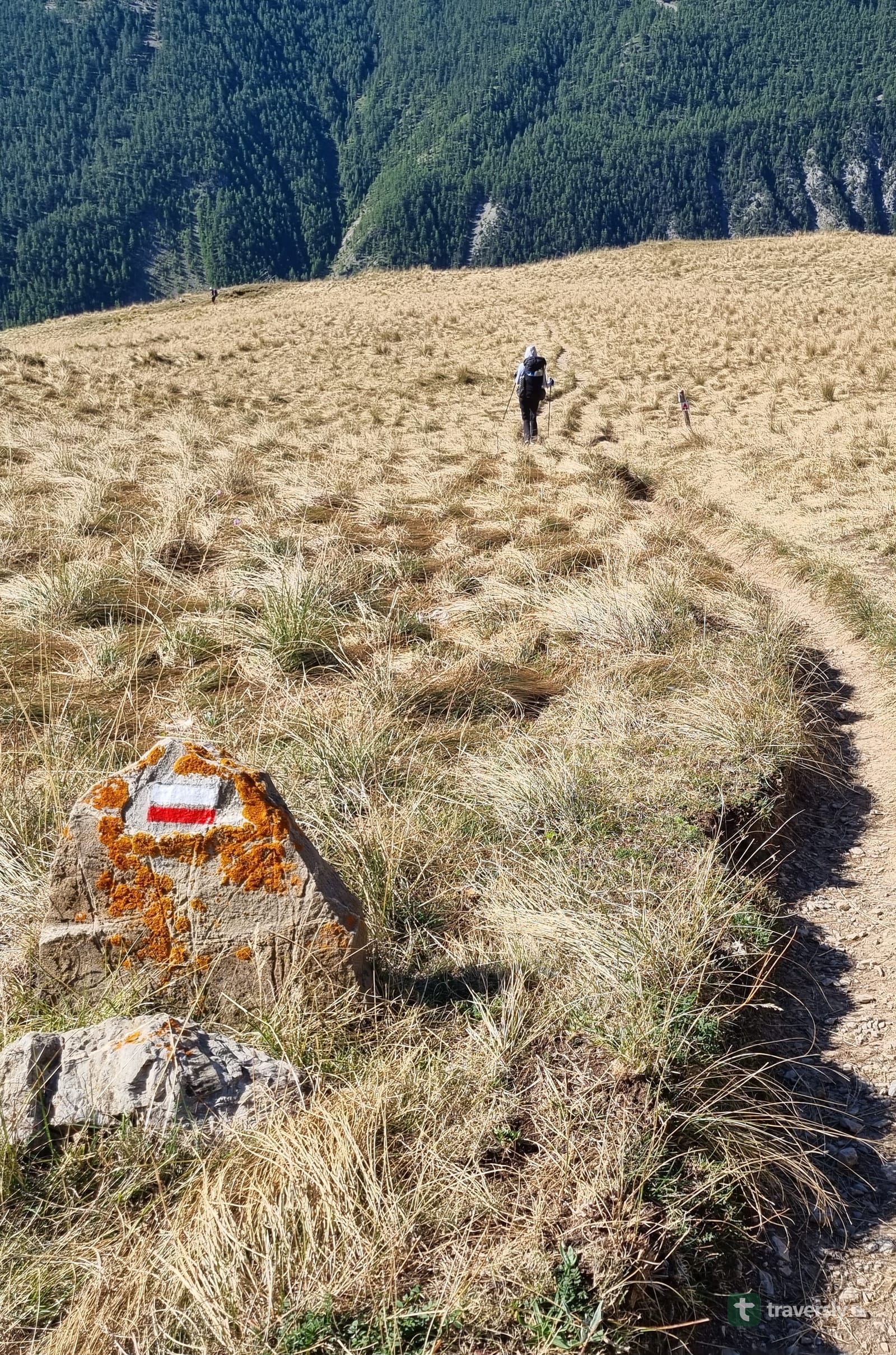 A hiker crossing a golden ridge on the GR5 in the French Alps, following a red-and-white waymark painted on a boulder in the foreground.
